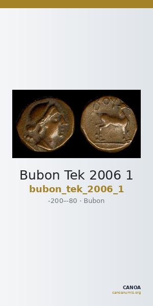 Bubon Tek 2006 1 — CANOA