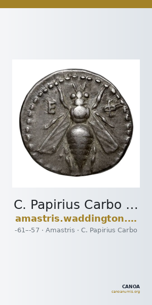 C. Papirius Carbo Amastris Waddington 1925 22 — CANOA