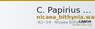C. Papirius Carbo Nicaea Waddington 1910 10 — CANOA