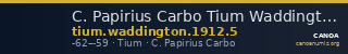C. Papirius Carbo Tium Waddington 1912 5 — CANOA