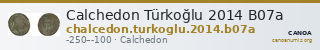 Calchedon Türkoğlu 2014 B07a — CANOA