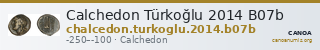Calchedon Türkoğlu 2014 B07b — CANOA