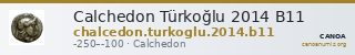 Calchedon Türkoğlu 2014 B11 — CANOA
