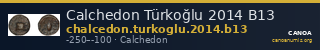 Calchedon Türkoğlu 2014 B13 — CANOA