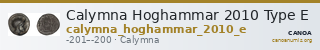 Calymna Hoghammar 2010 Type E — CANOA