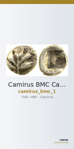 Camirus BMC Camirus 1 — CANOA