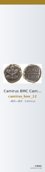 Camirus BMC Camirus 12 — CANOA