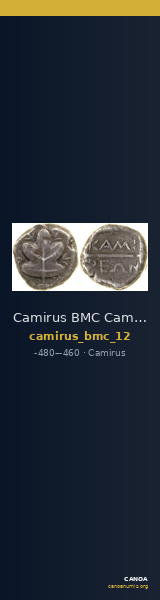 Camirus BMC Camirus 12 — CANOA