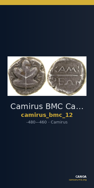 Camirus BMC Camirus 12 — CANOA