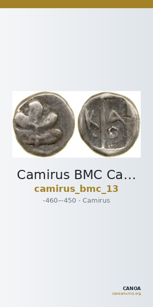 Camirus BMC Camirus 13 — CANOA