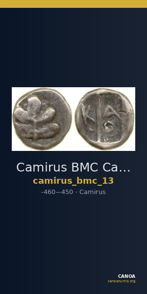 Camirus BMC Camirus 13 — CANOA