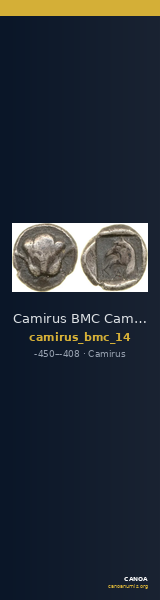 Camirus BMC Camirus 14 — CANOA