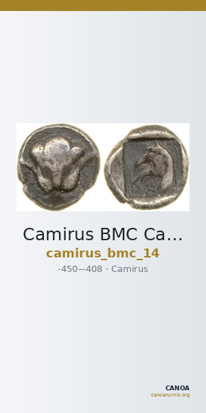Camirus BMC Camirus 14 — CANOA