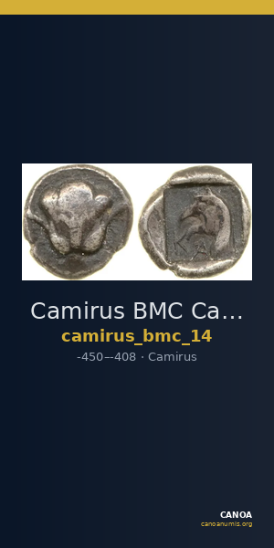 Camirus BMC Camirus 14 — CANOA