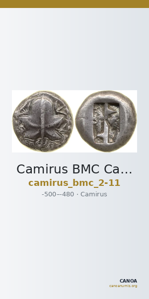 Camirus BMC Camirus 2-11 — CANOA