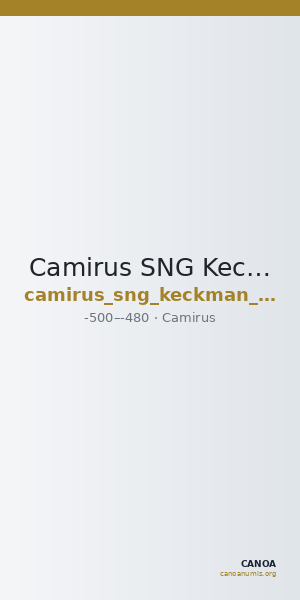 Camirus SNG Keckman I 348-50 — CANOA