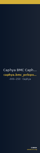 Caphya BMC Caphyae 1 — CANOA