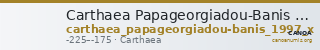 Carthaea Papageorgiadou-Banis 1997 Series X — CANOA