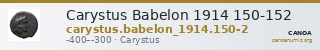 Carystus Babelon 1914 150-152 — CANOA