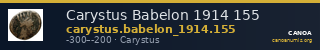 Carystus Babelon 1914 155 — CANOA