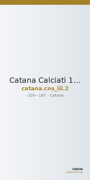 Catana Calciati 1987 2 — CANOA