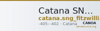 Catana SNG Fitzwilliam 690 — CANOA
