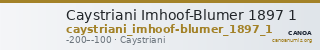Caystriani Imhoof-Blumer 1897 1 — CANOA