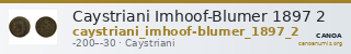 Caystriani Imhoof-Blumer 1897 2 — CANOA