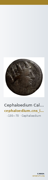 Cephaloedium Calciati 1983 10 — CANOA