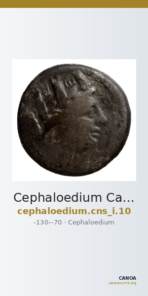 Cephaloedium Calciati 1983 10 — CANOA