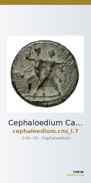 Cephaloedium Calciati 1983 7 — CANOA