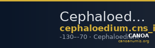 Cephaloedium Calciati 1983 9 — CANOA