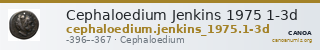 Cephaloedium Jenkins 1975 1-3d — CANOA