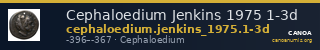 Cephaloedium Jenkins 1975 1-3d — CANOA