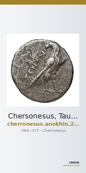 Chersonesus, Tauric Anokhin 2011 631 — CANOA