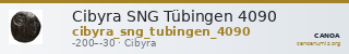 Cibyra SNG Tübingen 4090 — CANOA