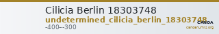 Cilicia Berlin 18303748 — CANOA