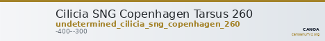 Cilicia SNG Copenhagen Tarsus 260 — CANOA