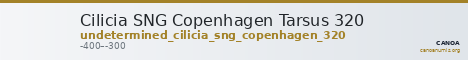 Cilicia SNG Copenhagen Tarsus 320 — CANOA