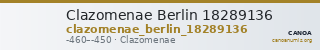 Clazomenae Berlin 18289136 — CANOA