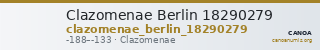Clazomenae Berlin 18290279 — CANOA