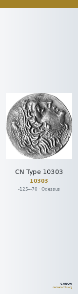 CN Type 10303 — CANOA
