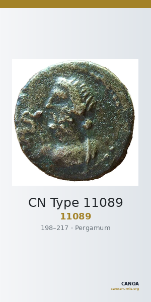 CN Type 11089 — CANOA