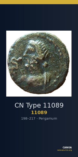 CN Type 11089 — CANOA