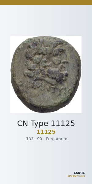 CN Type 11125 — CANOA