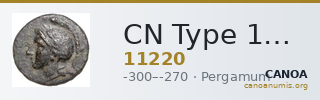 CN Type 11220 — CANOA