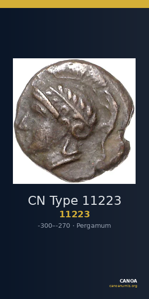 CN Type 11223 — CANOA