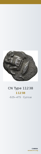 CN Type 11238 — CANOA