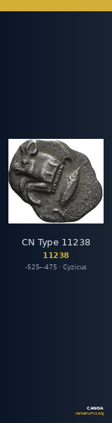 CN Type 11238 — CANOA