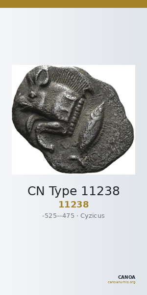 CN Type 11238 — CANOA